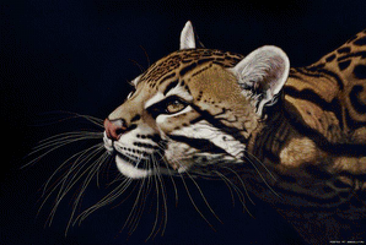 №1263713 - животные - предпросмотр