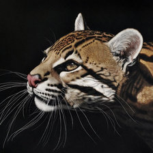 Схема вышивки «№1263713»