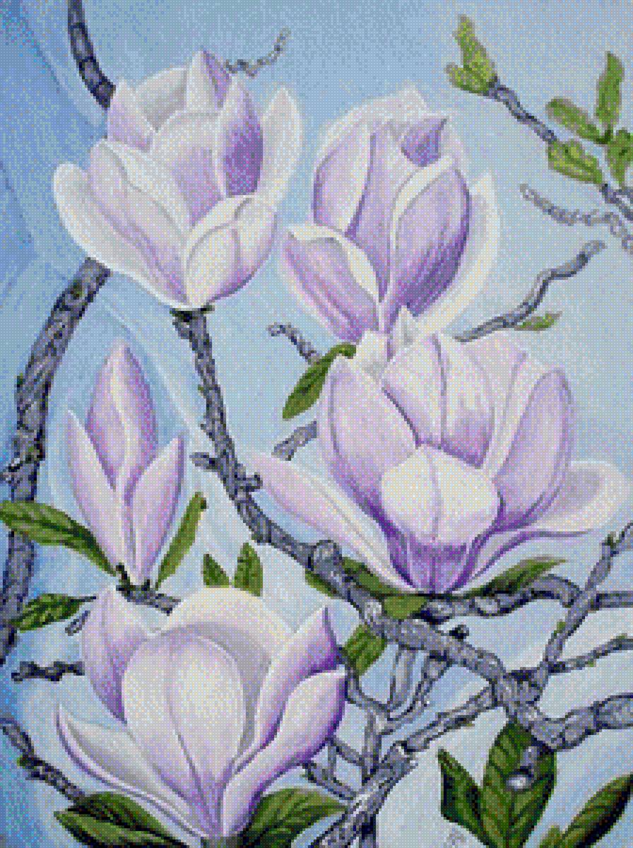 магнолия - предпросмотр