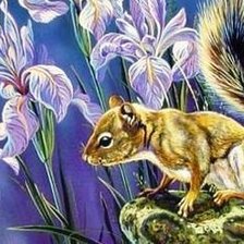 Схема вышивки «Белочка»