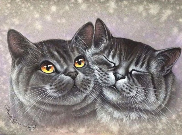 НЕЖНОСТЬ КОТОВ - оригинал