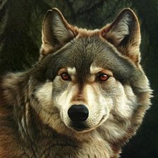 Схема вышивки «Волк»