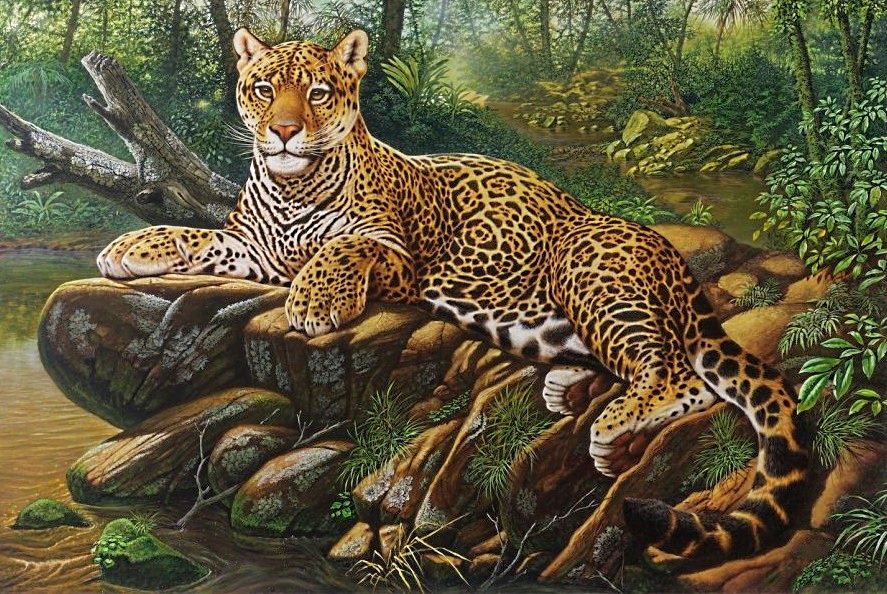 хозяин джунглей - джунгли, хищники, леопард, ягуар - оригинал