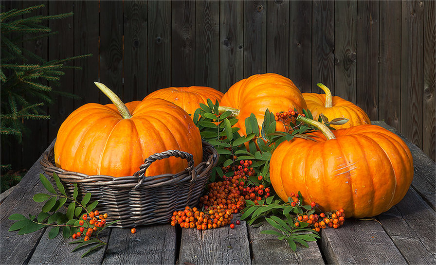 тыква - оригинал