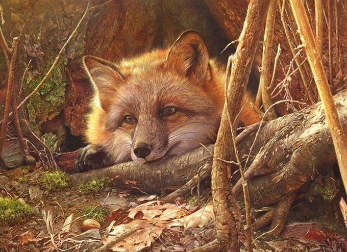 №1265000 - природа, осень, картина, лиса, животные - оригинал