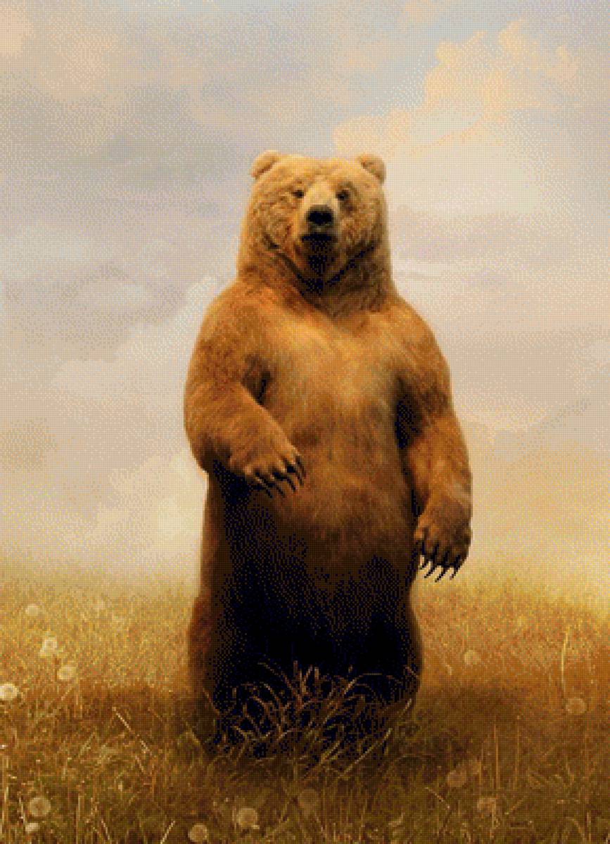 №1265004 - медведь, небо, цветы, луг, животные, картина, природа - предпросмотр