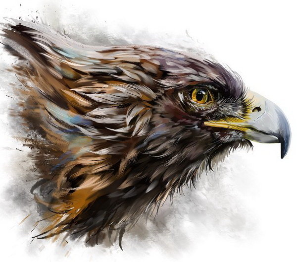 №1265014 - орел - оригинал