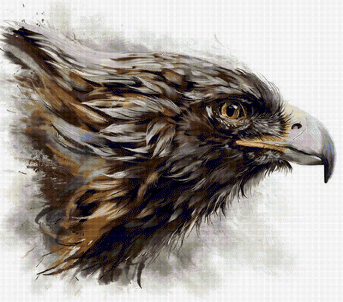 №1265014 - орел - предпросмотр