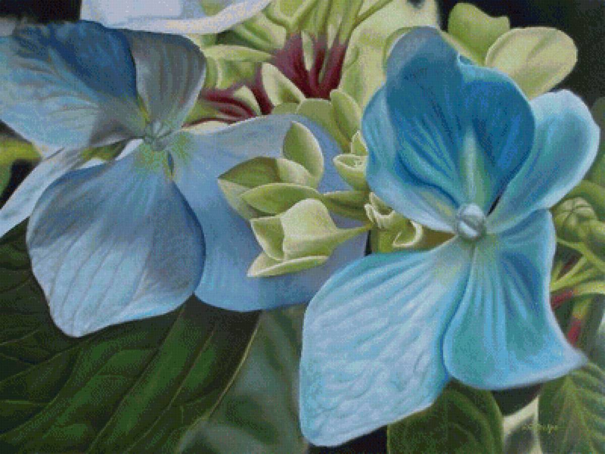 №1265445 - предпросмотр