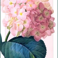 Схема вышивки «№1265453»