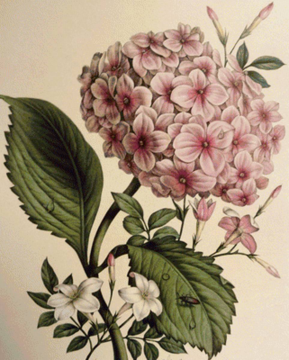 №1265454 - предпросмотр