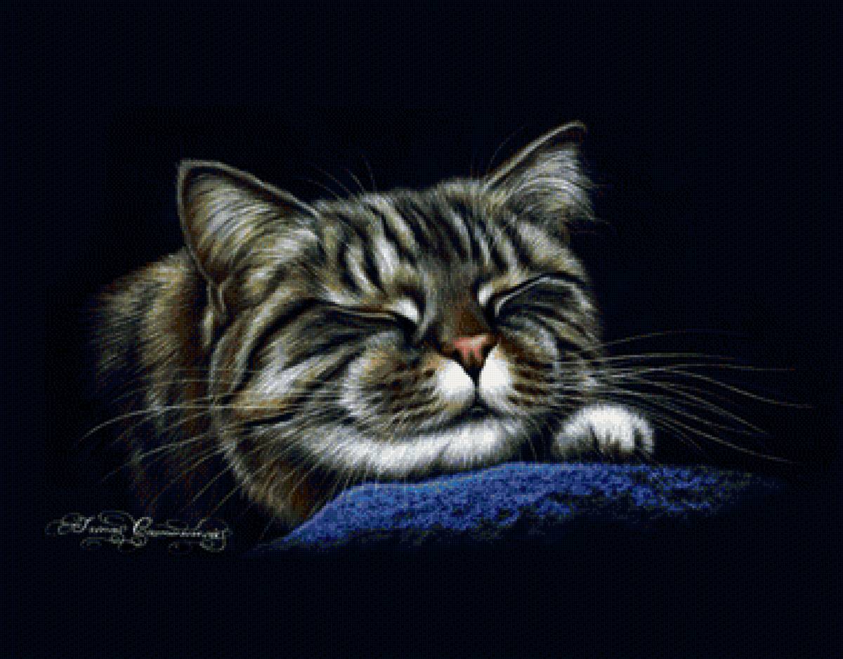 спящий - предпросмотр