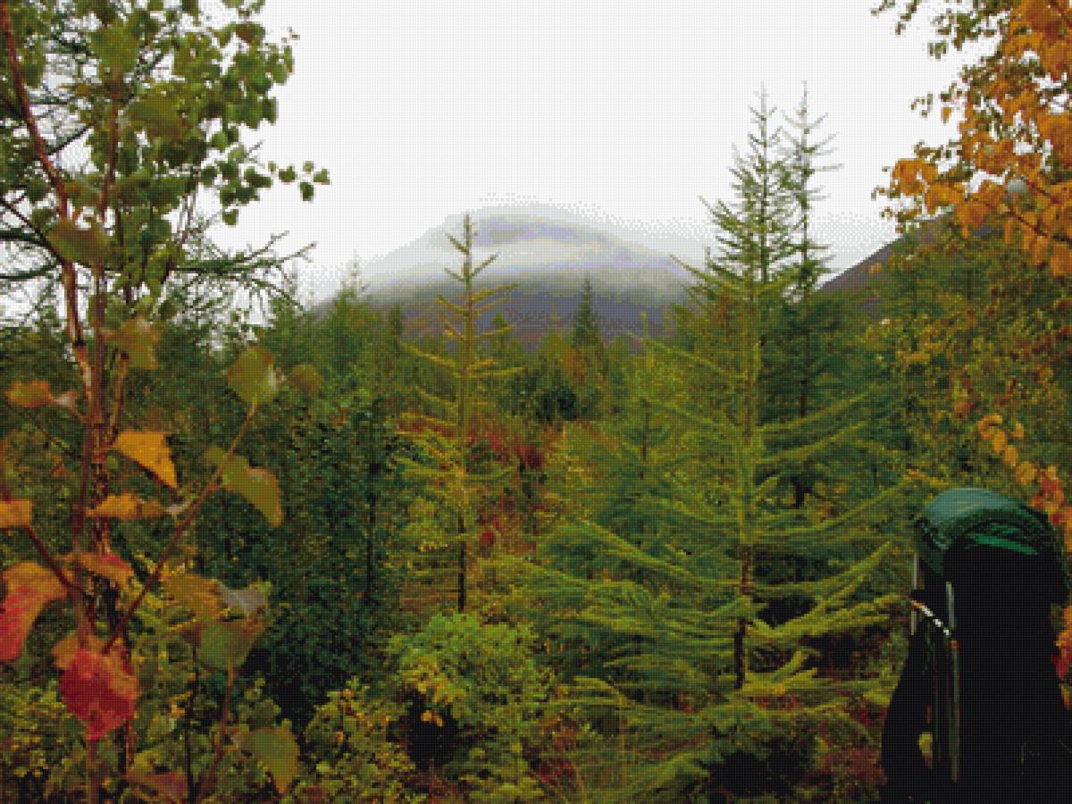 Тундра в августе - горы, осень, туман, тундра - предпросмотр