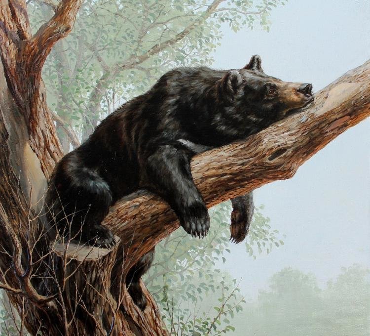 Мишка. - звери, природа, лес - оригинал