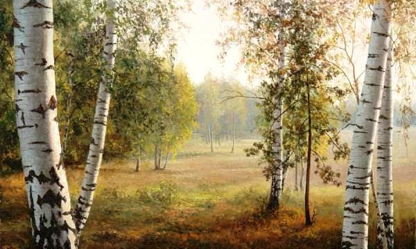Березы. - природа, пейзаж, картина, осень, лес, березы - оригинал