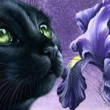 Схема вышивки «ирис»