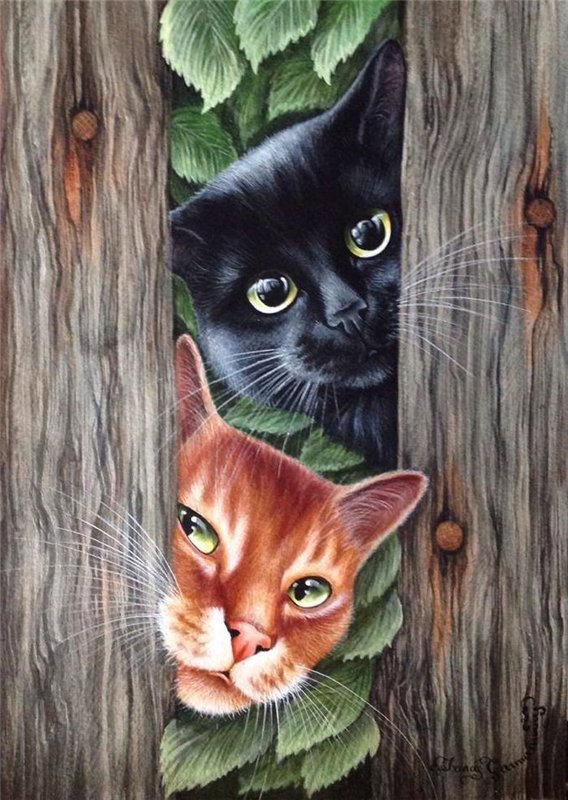 любопытство - оригинал