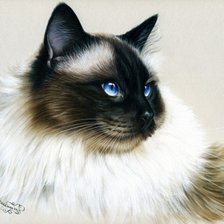 Схема вышивки «сиамская»