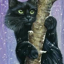 Схема вышивки «котяра»