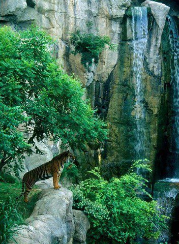 водопад - оригинал