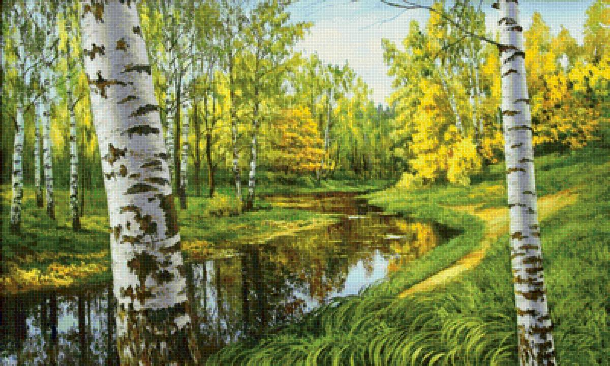 Начало осени. Березы. - лес, березы, пейзаж, осень, река, природа - предпросмотр