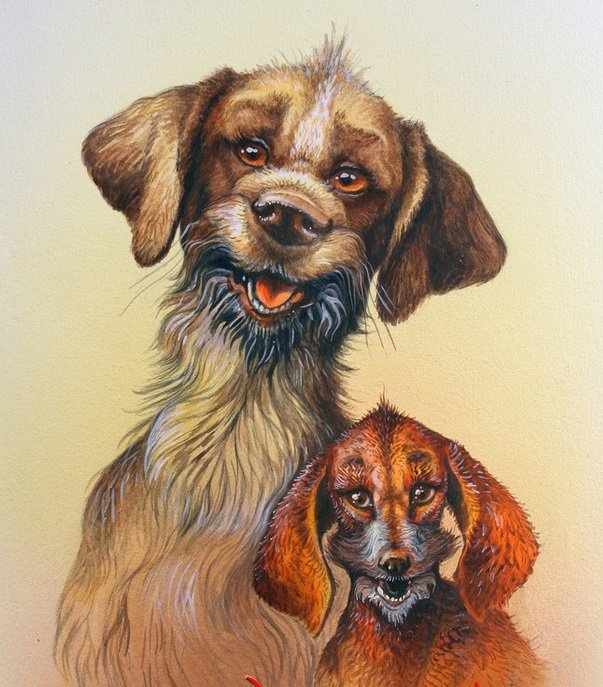 Собаки-улыбаки - животные - оригинал