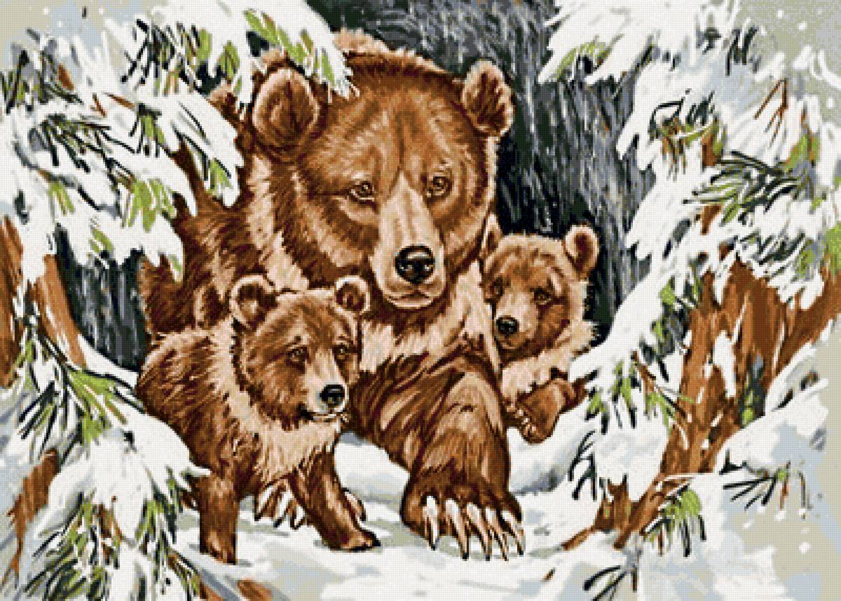 мать и дитя - медведь, гризли, медвежата, медведица, медведи, хищники, медвежонок - предпросмотр