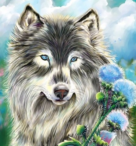 Красавец - цветы, животные, волк - оригинал