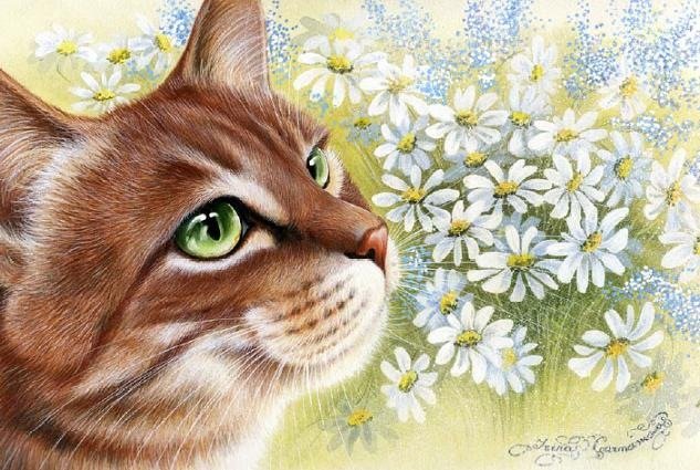 в ромашках - оригинал