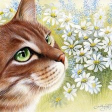 Схема вышивки «в ромашках»