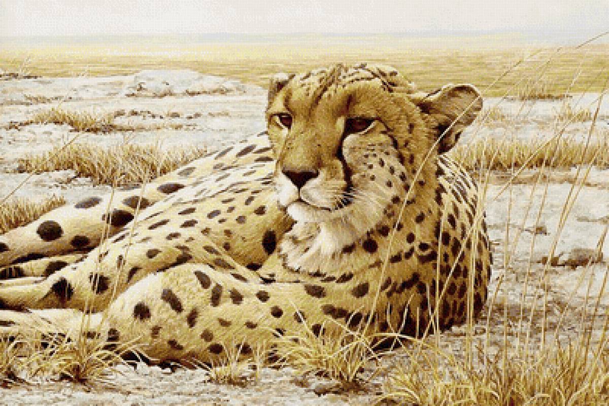 Грациозная хищница - хищники - предпросмотр