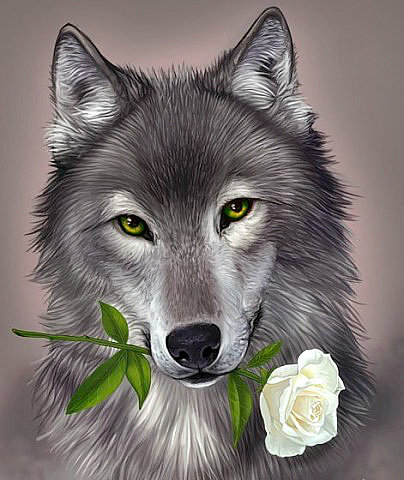 Волк с цветком - волк. хищник. роза - оригинал