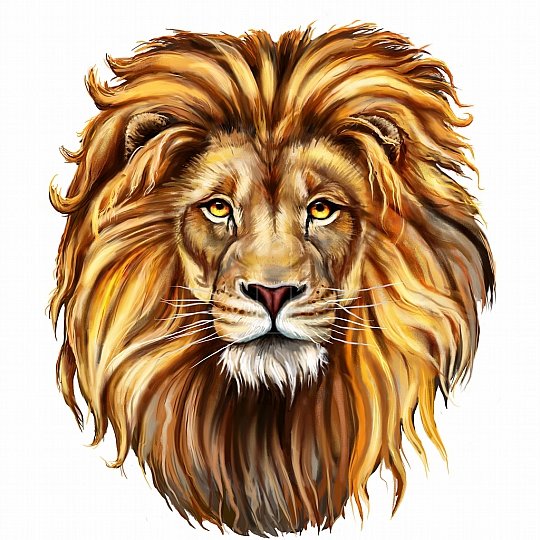 лев - лев кошка царь зверей - оригинал
