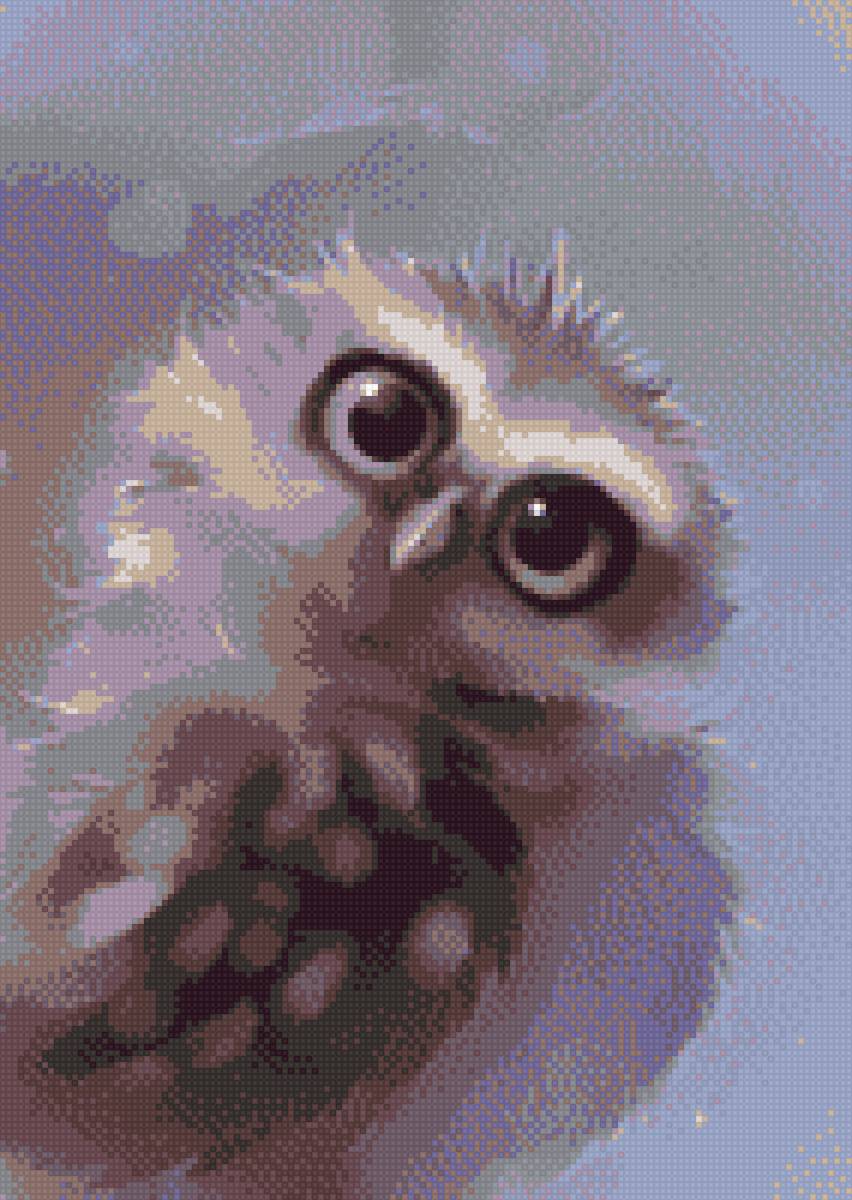 сова - животное, птица - предпросмотр