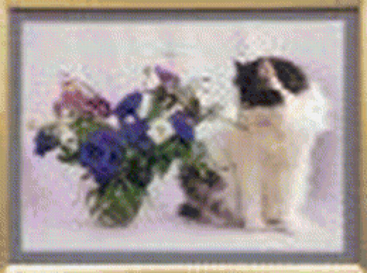 котик - предпросмотр