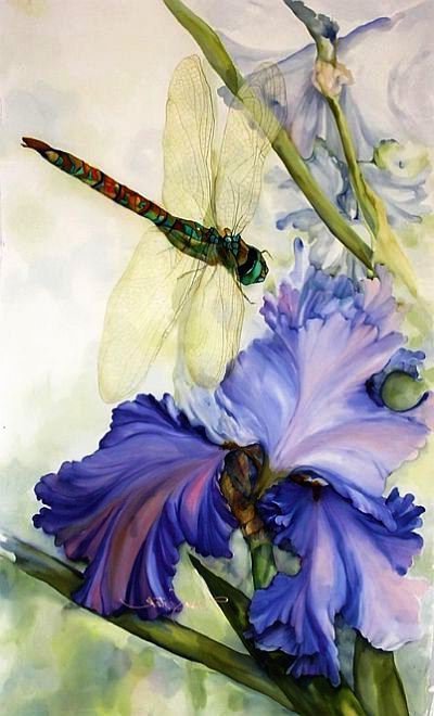 стрекоза - стрекоза, ирис - оригинал