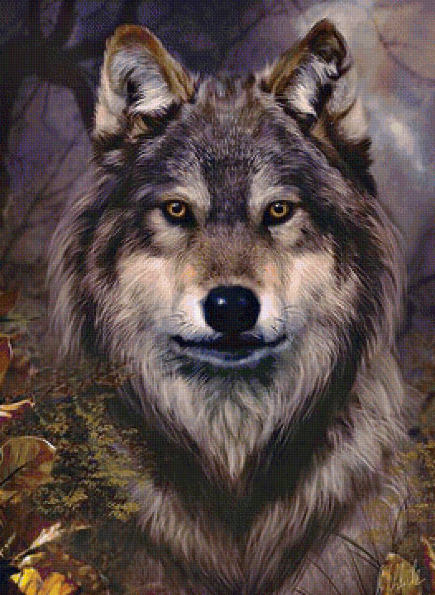 №1269774 - предпросмотр