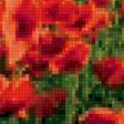 Предпросмотр схемы вышивки «маковое поле» (№1269835)