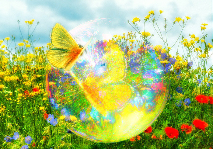 лето - оригинал