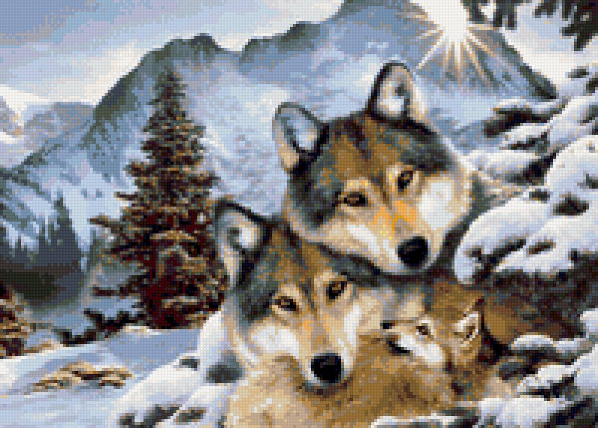 волчья семья - предпросмотр