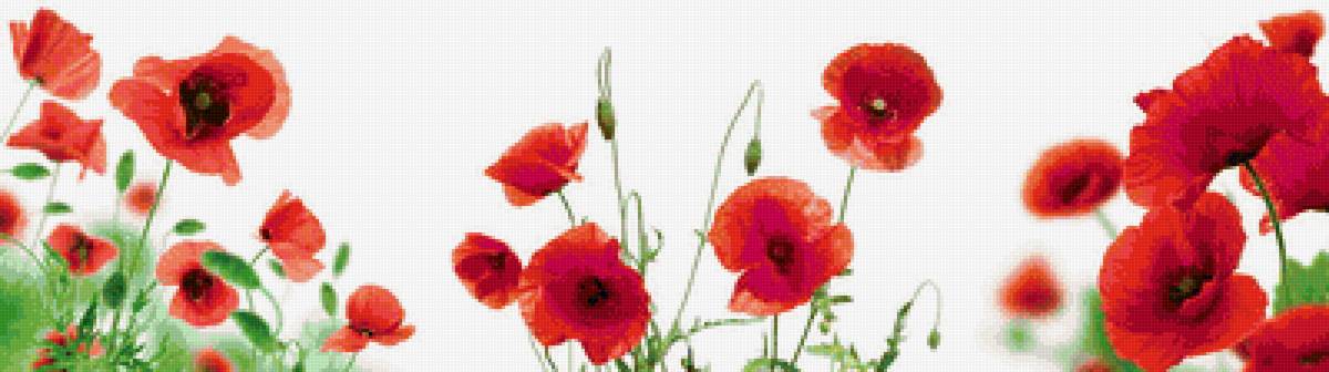 маки3 - предпросмотр