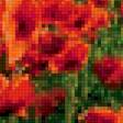 Предпросмотр схемы вышивки «маковое поле2» (№1269852)