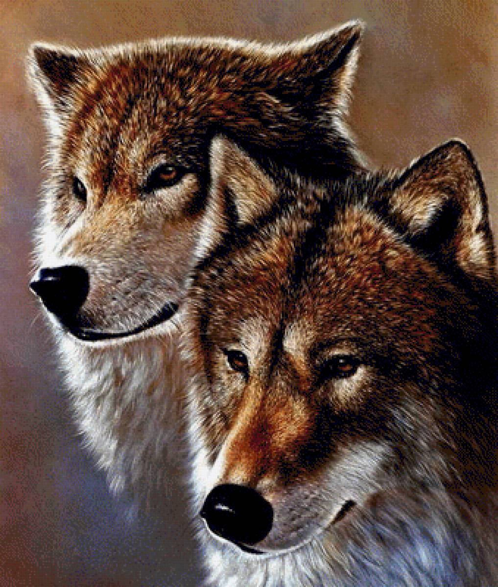 пара - волки - предпросмотр