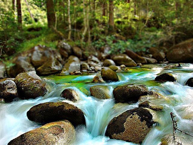 пейзаж - природа, река, пейзаж - оригинал