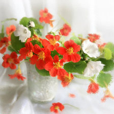 Натюрморт с настурциями