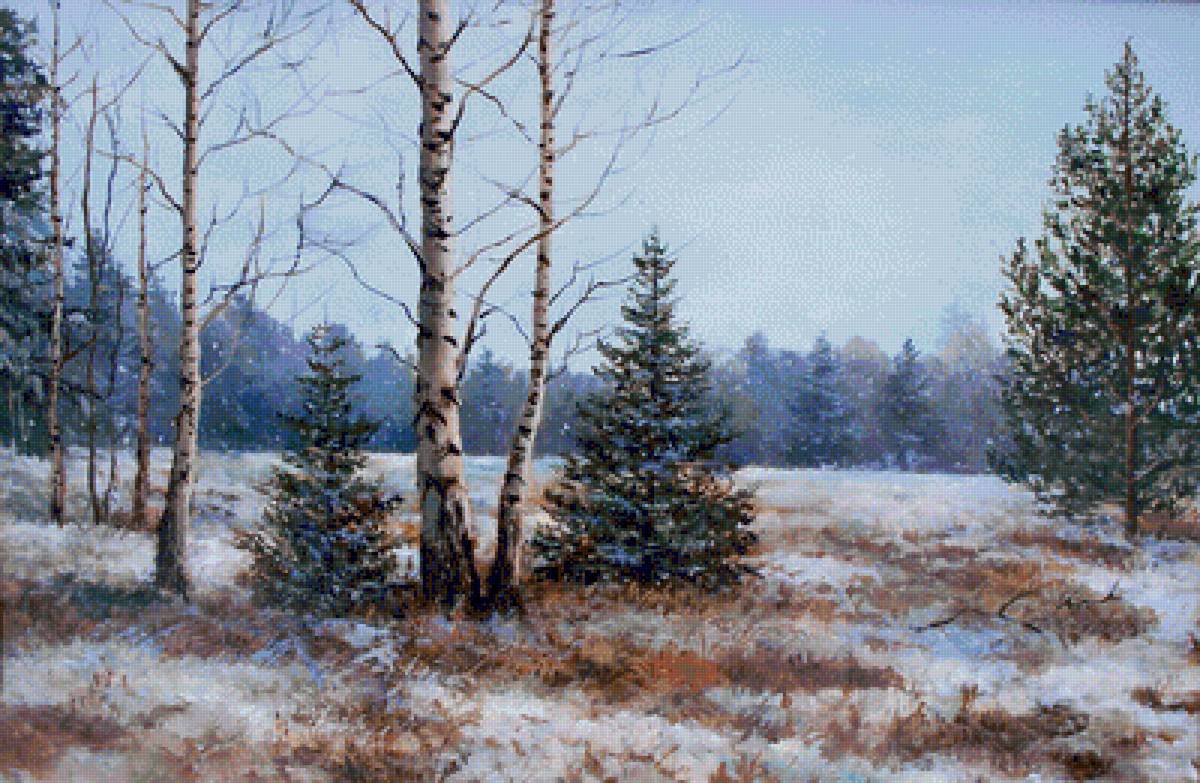 Первый снег - зимний пейзаж, елочка, зима, зимний лес, пейзаж, елки, ели, снег, березы - предпросмотр
