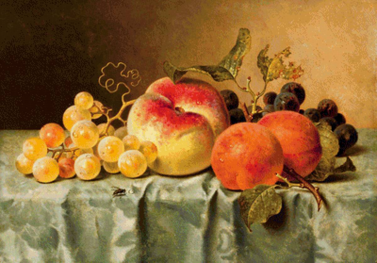 Сочные персики и виноград - персики, виноград, нектарины, для кухни, абрикосы, фрукты, натюрморт - предпросмотр