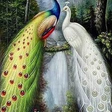 Схема вышивки «Павлины»