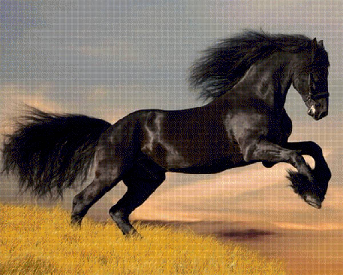 воронной - кони, лошади - предпросмотр