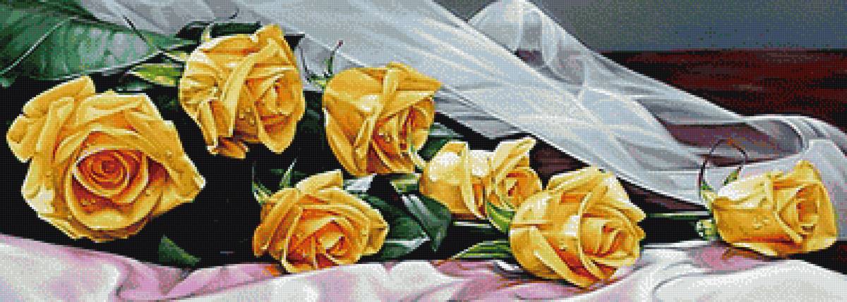 Желтые розы - цветы, букет - предпросмотр